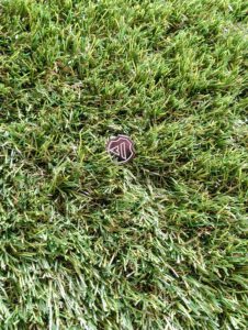 alliance lacrosse pin