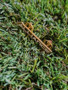 alliance lacrosse pin