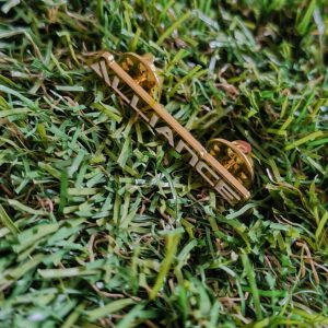 alliance lacrosse pin